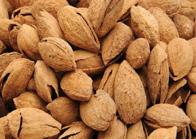 Almond with Cover